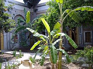 Kopie von diverse 052.jpg